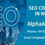 Best SEO Company in Noida | Targeted SEO Solutions India